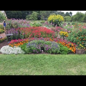 Meet your Posher, Deann